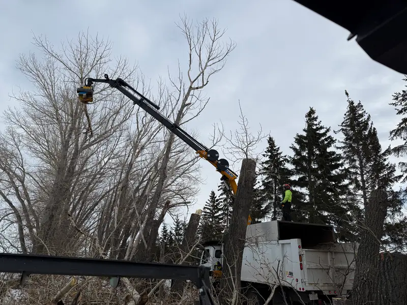 Equipment-assisted tree removal near a structure in Alberta
