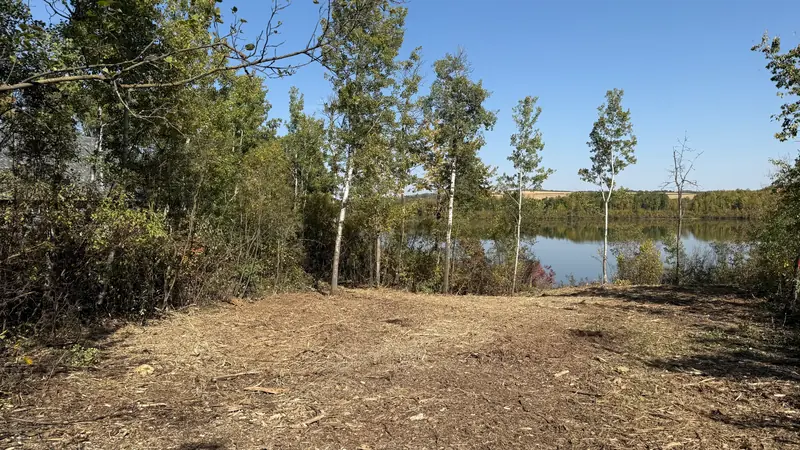 Finished lake-access clearing with an open viewpoint