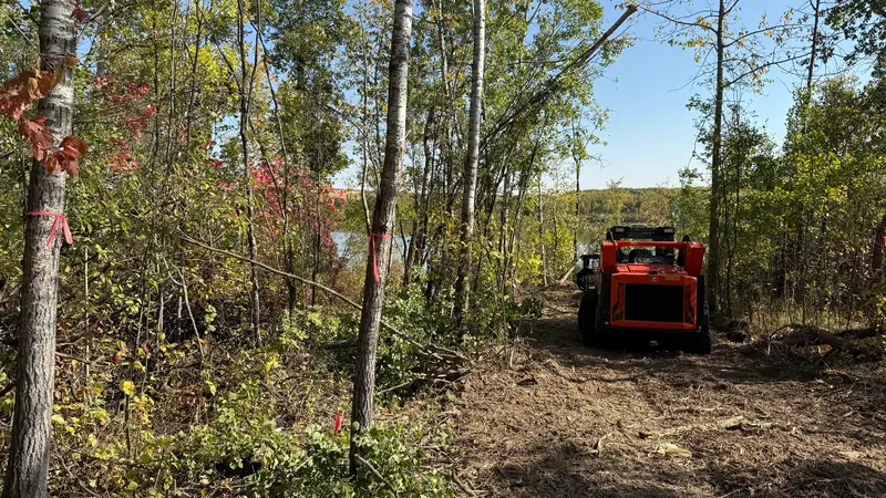 Tracked mulcher completing selective lake-access clearing
