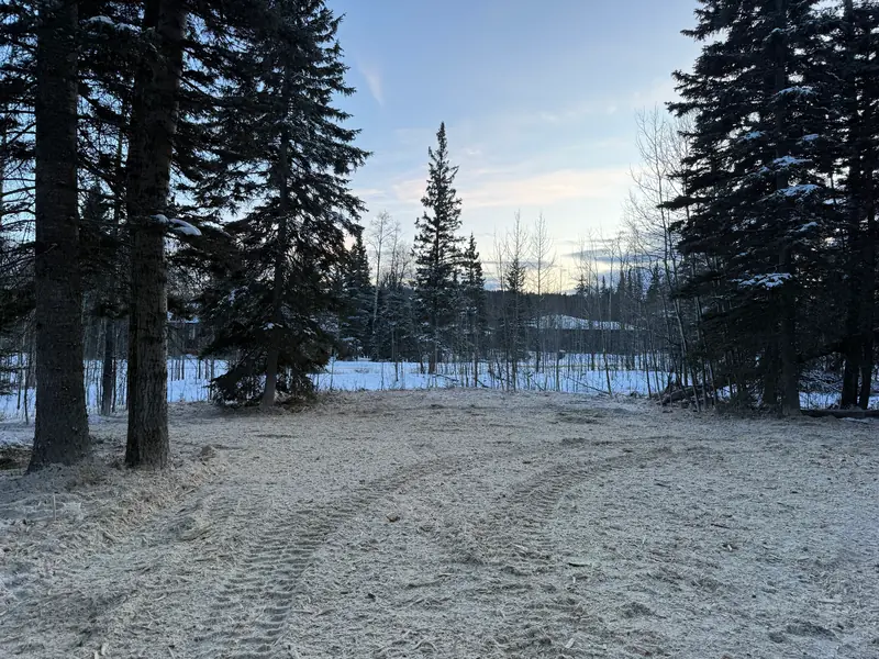 Finished winter property clearing with selected trees retained