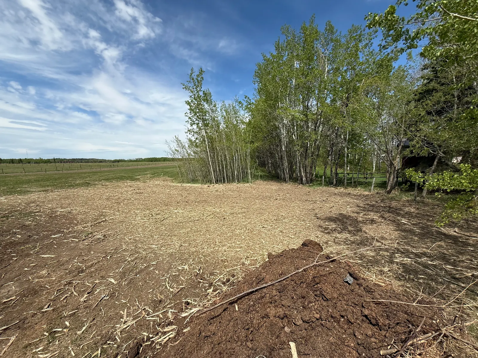 Finished acreage clearing with open ground and retained trees