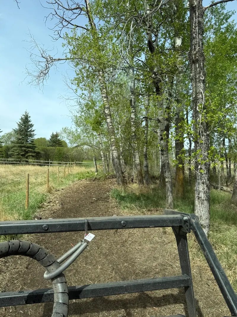 Fence-line clearing beside retained trees on an Alberta acreage