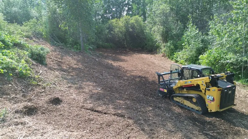 Freshly mulched clearing with tracked equipment in Central Alberta